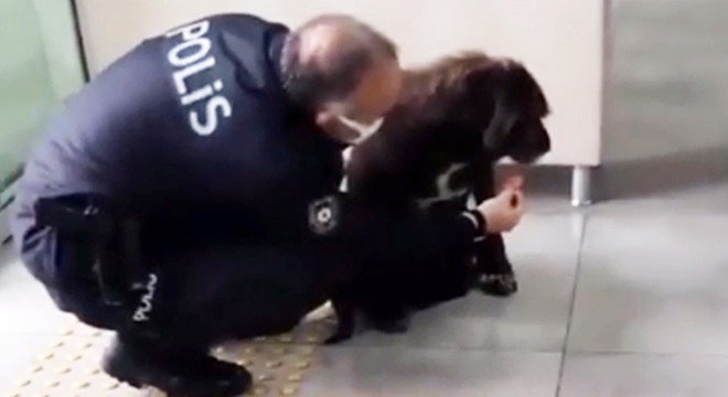 Yağmurda ıslanan köpeğe polis şefkati