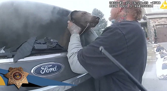 Yanan arabanın içinde mahsur kalan köpeği kurtardı