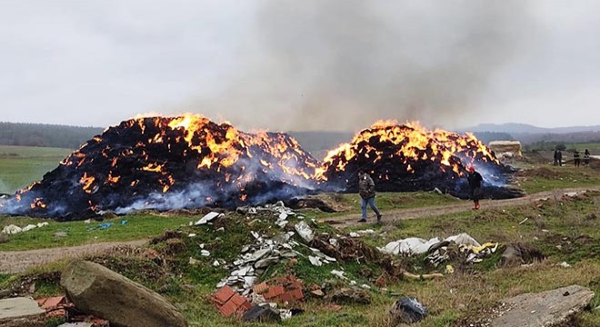 Yangında 8 bin saman balyası yandı