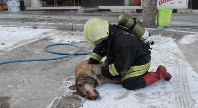 Yangında mahsur kalan 2 kişi kurtarıldı, köpek öldü