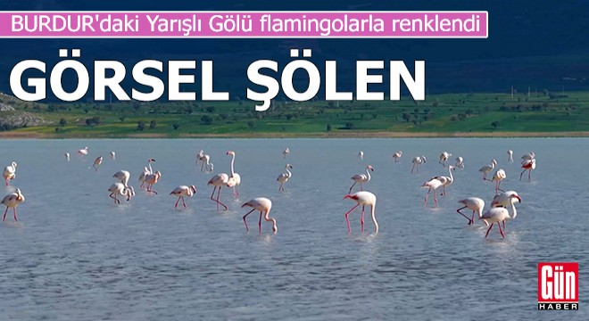 Yarışlı Gölü flamingolarla renklendi