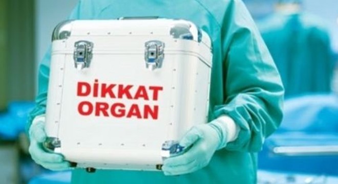 Yasadışı organ nakli operasyonu