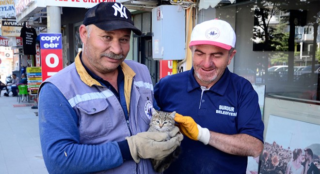 Yavru kediyi temizlik personeli kurtardı