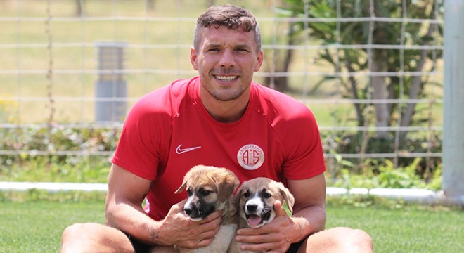 Yavru köpeklere, Antalyaspor sahip çıktı