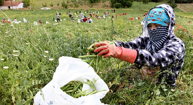 Yenişehir Ovası mevsimlik tarım işçilerini bekliyor