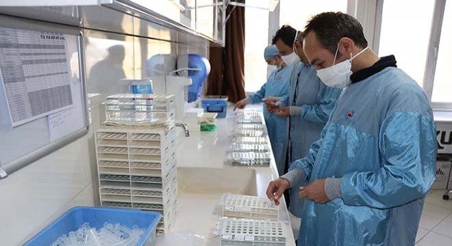 Yerli aşı çalışmalarının yapıldığı laboratuvarı DHA görüntüledi