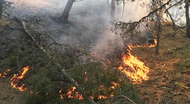 Yıldırım düşen iki bölgede 13 hektar orman yandı