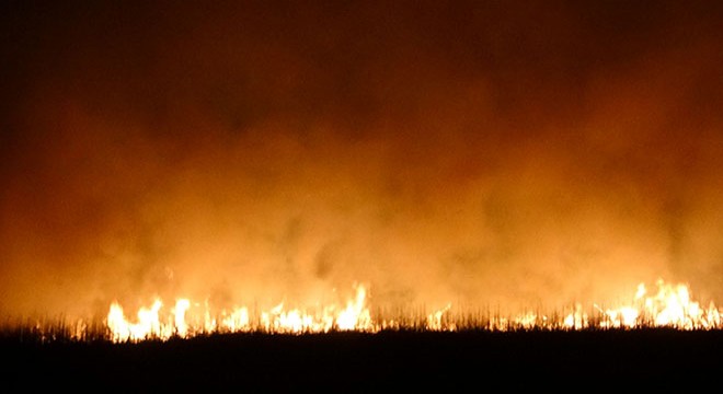Yüksekova daki Nehil Sazlığı nda 2 gün sonra yine yangın