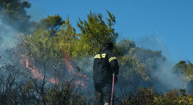 Yunanistan’da iki ayrı bölgede orman yangını