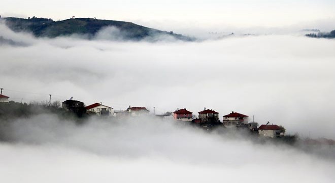Zonguldak ta sis güzelliği