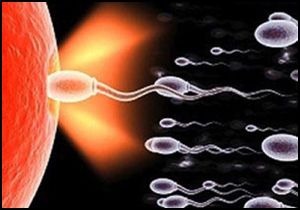 Kablosuz ağ sperm kalitesini düşürüyor