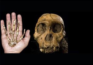 2 milyon yıllık iskeleti ete büründürdüler