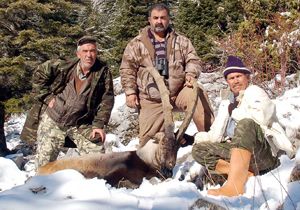 Avcılar keçi başına asgari 2 bin lira ödüyor