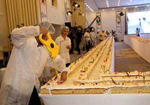 633,3  metrelik meyveli kek Guinness e aday