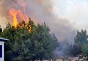 Antalya da yangın kabusu