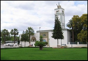 Tunus ta müzeye saldırı: 19 ölü