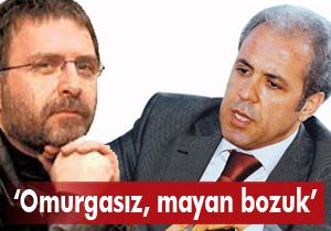 Tayyar dan Ahmet Hakan a;  Omurgasız, mayan bozuk 