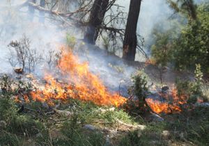 Kozan’da soğutma çalışması yapılan ormanda yeniden yangın çıktı