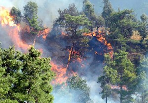 Antalya da girilmesi yasak 27 orman