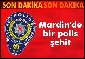 Mardin de polis aracı devrildi: Bir şehit