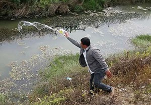 Sivrisinekle mücadelede balıklı yöntem
