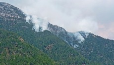Alanya'daki orman yangını kontrol altında
