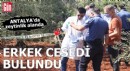 Antalya'da zeytinlik alanda erkek cesedi bulundu