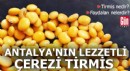 Antalya'nın lezzetli çerezi: Tirmis