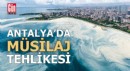 ‘Antalya sahillerinde de müsilaj tehlikesi yaşanabilir’
