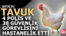 Tavuk, Antalya Havalimanı'nın güvenliğini hastanelik etti