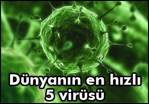 Dünyanın en hızlı 5 virüsü!