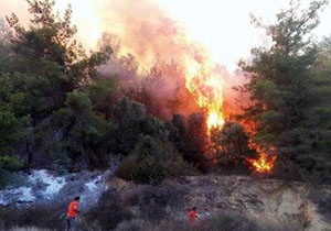 Antalya da 10 hektar ormanlık alan ve zeytin ağaçları yandı