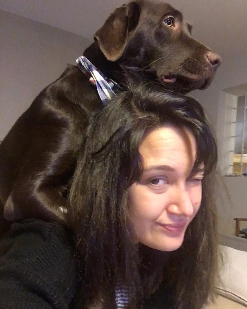 ÜNLÜLER VE KÖPEKLERİ - 5