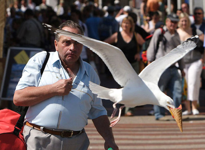 TAM ZAMANINDA ÇEKİLMİŞ BİRBİRİNDEN İLGİNÇ FOTOĞRAFLAR - 2