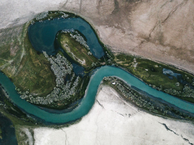 Avusturyalı ailenin hikayesi, yüzlerde tebessüm yaratıyor - 15