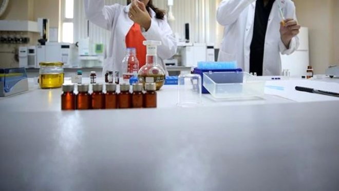 Dünya Sağlık Örgütü açıkladı: 250 bin kişinin ölümüne neden olacak - 6