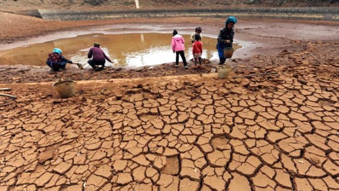 Dünya Sağlık Örgütü açıkladı: 250 bin kişinin ölümüne neden olacak - 14