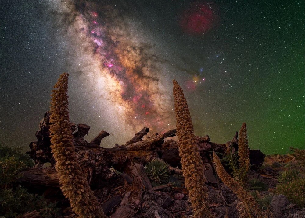 Türk astrofotoğrafçı Güneş fotoğrafı ile ödül kazandı - 7