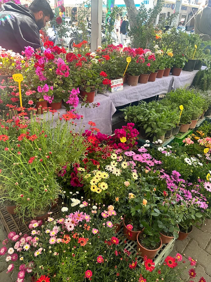 Alaçatı Ot Festivali'nden renkli görüntüler - 20