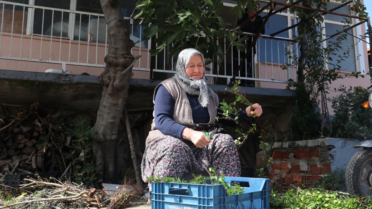 Burdurlu kadınların el emeğiyle yaptığı çelenkler Avrupa'yı süslüyor - 5