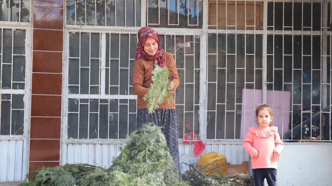 Burdurlu kadınların el emeğiyle yaptığı çelenkler Avrupa'yı süslüyor - 6