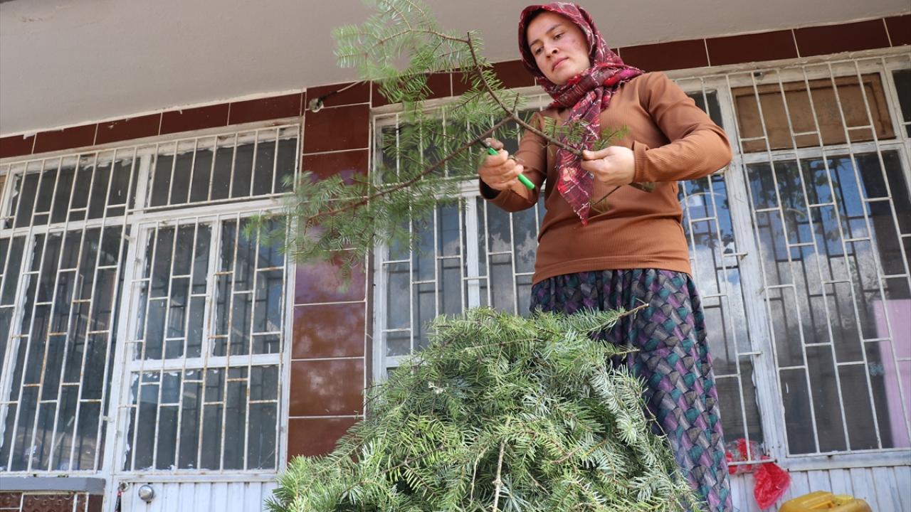 Burdurlu kadınların el emeğiyle yaptığı çelenkler Avrupa'yı süslüyor - 1