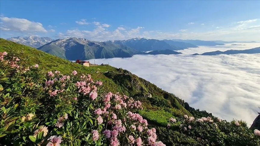 Bulutların üzerindeki yayla: Huser - 14