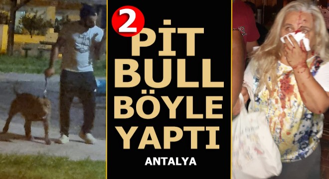'Abla bir şey yapmaz' dedi, pitbulları kadına saldırdı