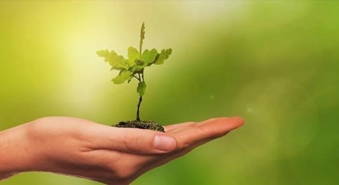 'Avrupa Yeşil Mutabakata Uyum Projesi Desteği', Resmi Gazete'de