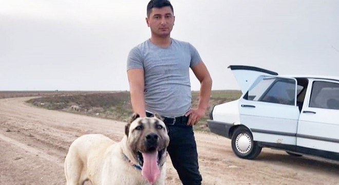 'Benim köpeğim daha iyi' tartışmasında komşusunu vurdu