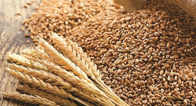 'Buğdayda kıtlık yok'