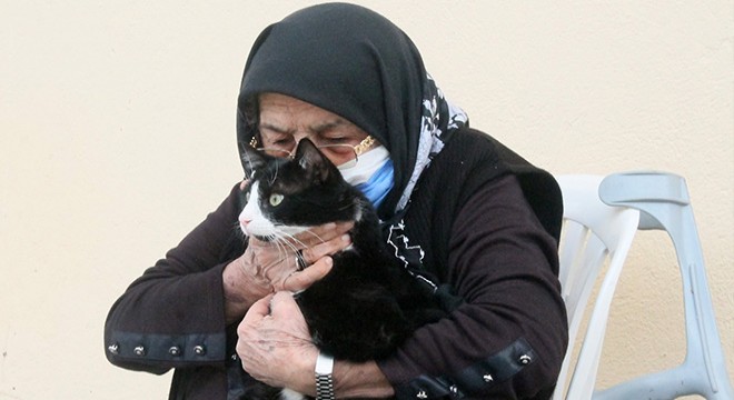 'Canım kadar sevdim' dediği kedisini magandalar tüfekle vurdu