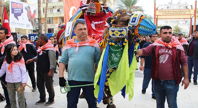 'En süslü' deve seçildi