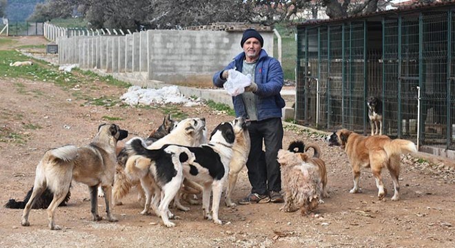 'Gözyaşı Çiftliği' can dostlara yuva oldu